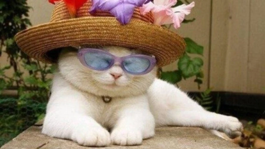 Сухо, солнечно, жарко: синоптик рассказала о погоде в понедельник