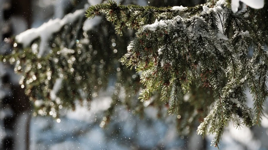 В Украине в ближайшие дни ожидается снег с дождем