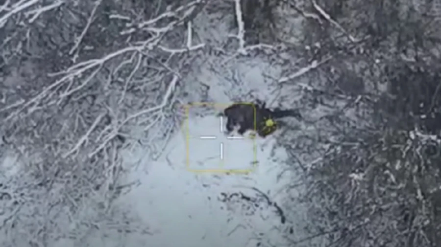 Пограничники отбили штурм возле Волчанска: 12 оккупантов остались лежать на свежем снегу