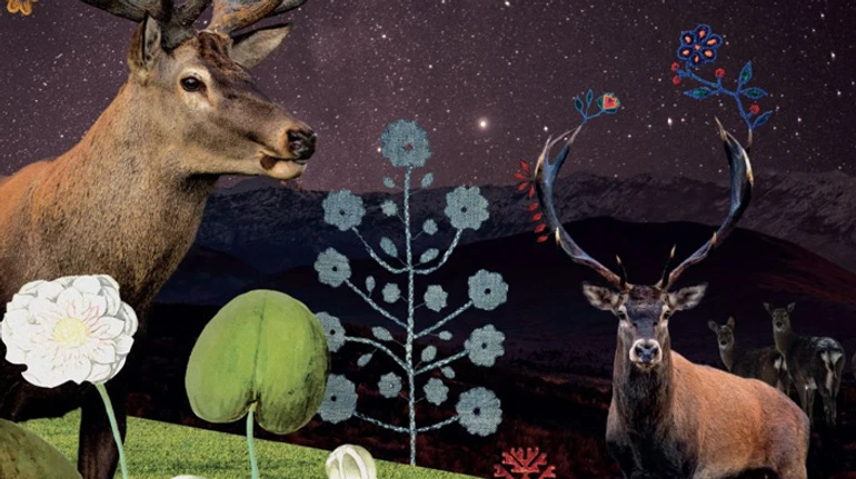 З картин та архаїчного фольклору: що ви знаєте про флору і фауну в культурній спадщині України? ТЕСТ