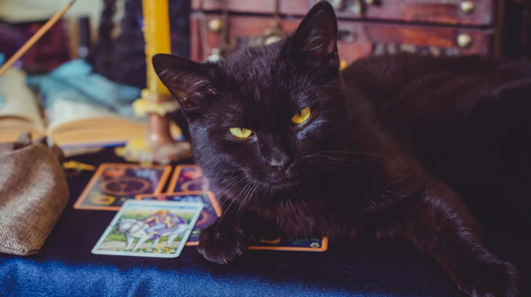 Кофе с корицей и несчастливая пятница. Насколько вы суеверный человек? ТЕСТ