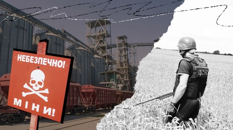 Заминированные поля: как их возвращают к жизни и хватит ли нам хлеба?