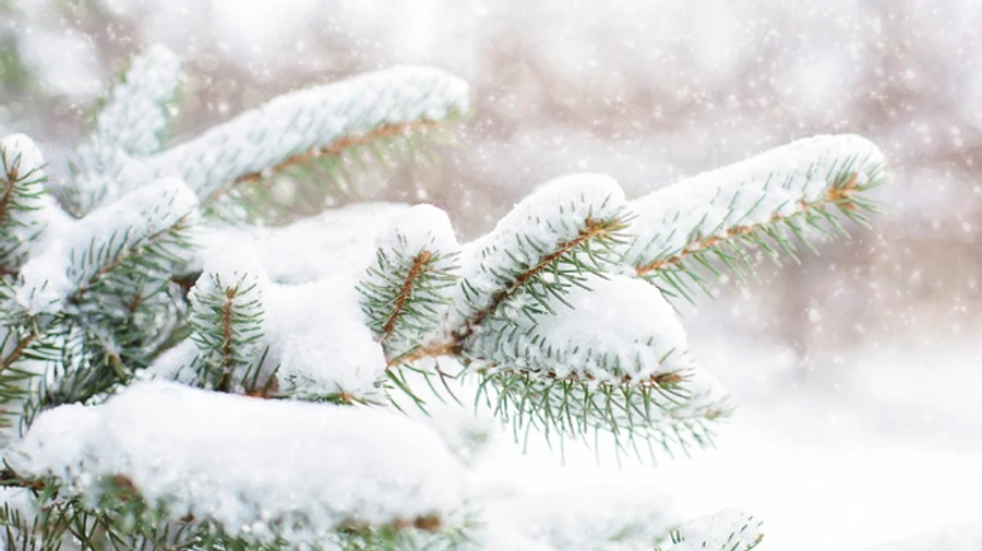 В Україну йде потепління та сніг з дощем