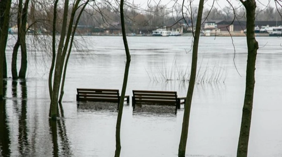 Водопілля в Україні почалося раніше, ніж зазвичай