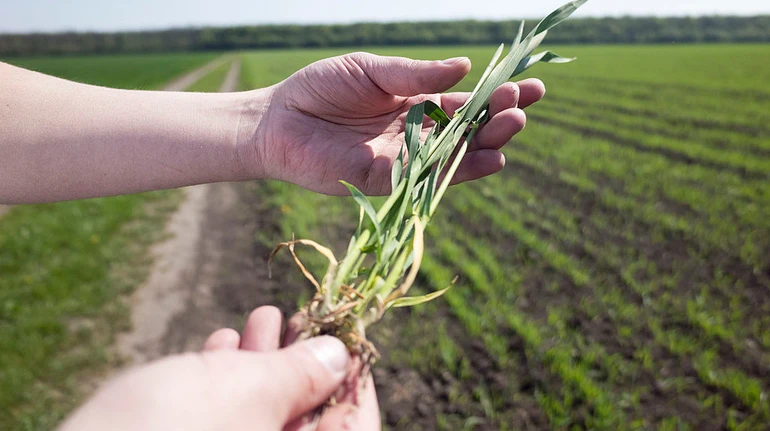 В Україні запустили цифровий помічник для аграріїв AKIS: деталі