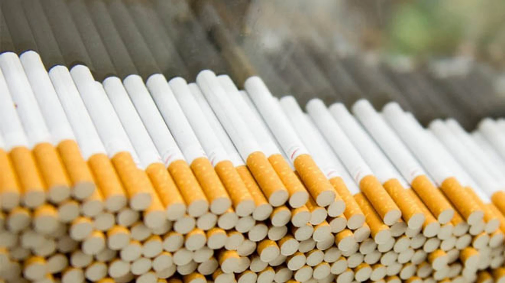 japan tobacco russia Japanese tobacco company JTI decides to continue its business in Russia