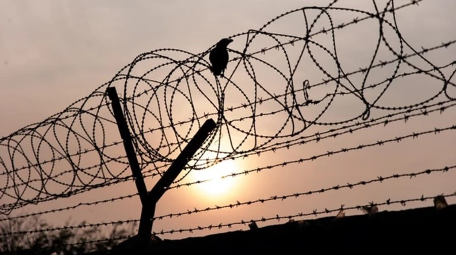 Литва до кінця року встановить на кордоні з Білоруссю паркан з колючим дротом довжиною 100 км