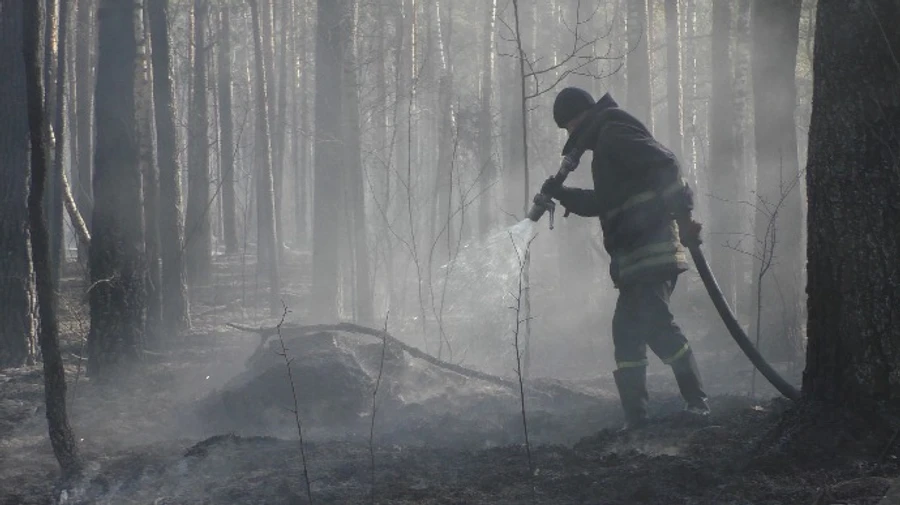 Лісові пожежі у Київській та Житомирській областях локалізували – ДСНС