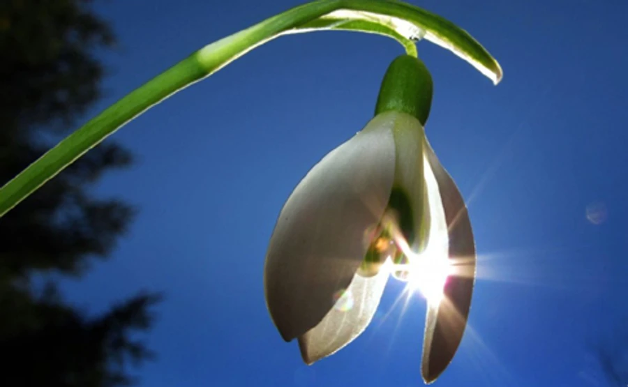 В Україну насувається справжнє весняне тепло