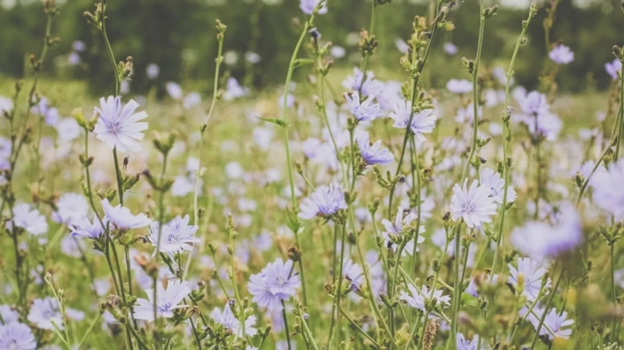 В Україні значно потеплішає, але подекуди пройдуть дощі