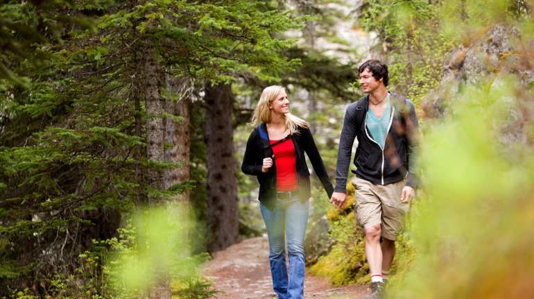 Що таке лісова терапія і вона впливає на наше здоров’я: пояснює наука