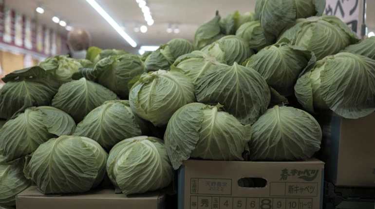 На українському ринку капуста за рік подешевшала вдвічі: яка її ціна