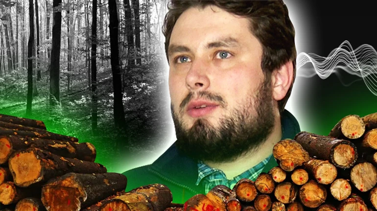 Наука рубить. Как забота о лесах на словах сводится к их вырубке на практике