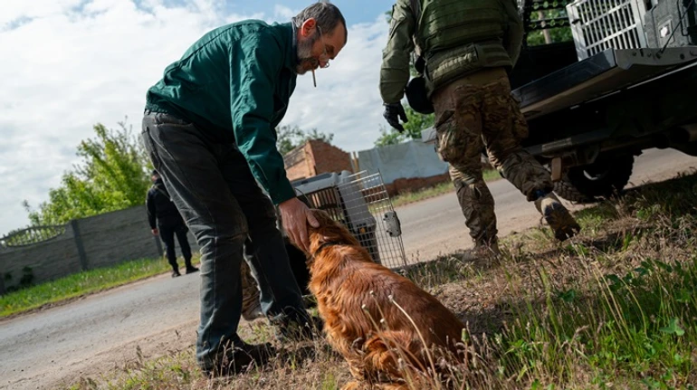 Russia attacks Vovchansk. Animal evacuation through the eyes of a volunteer. Photo report 