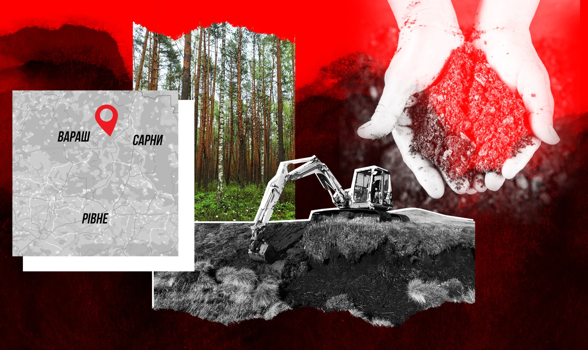 Saving the Makove wetlands: how peat and amber extraction is destroying wildlife in Polissia