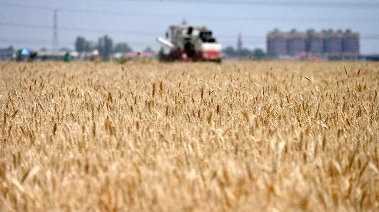 Еврокомиссия запретила импорт отдельных агротоваров из Украины после давления пяти государств ЕС