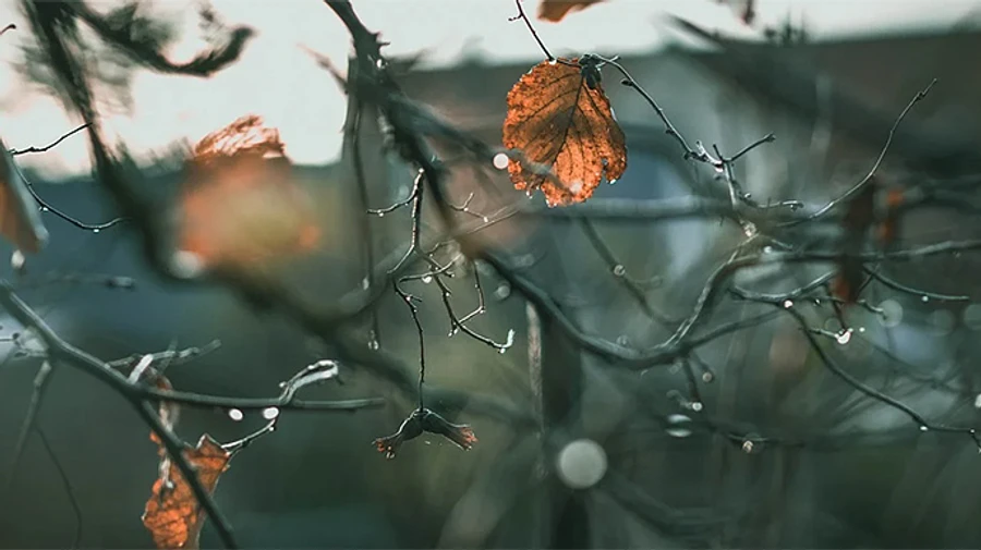 В Украине будет сыро и прохладно 