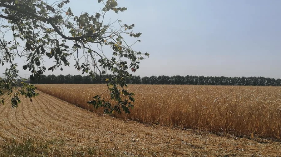Дождь не нарушит сентябрьскую идиллию четверга - прогноз