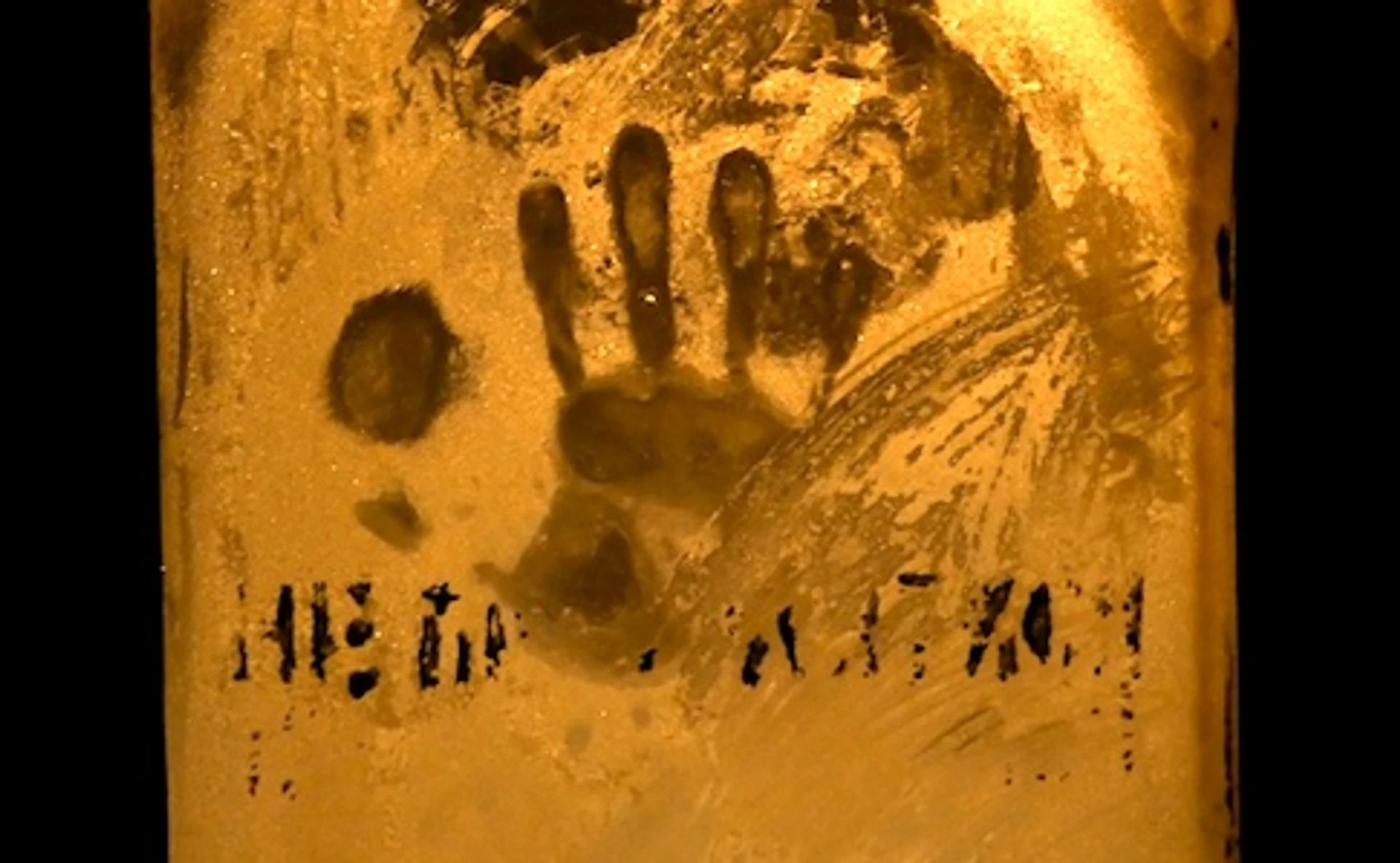 Hyperloop по-украински, или Что говорят об Илоне Маске в электричках