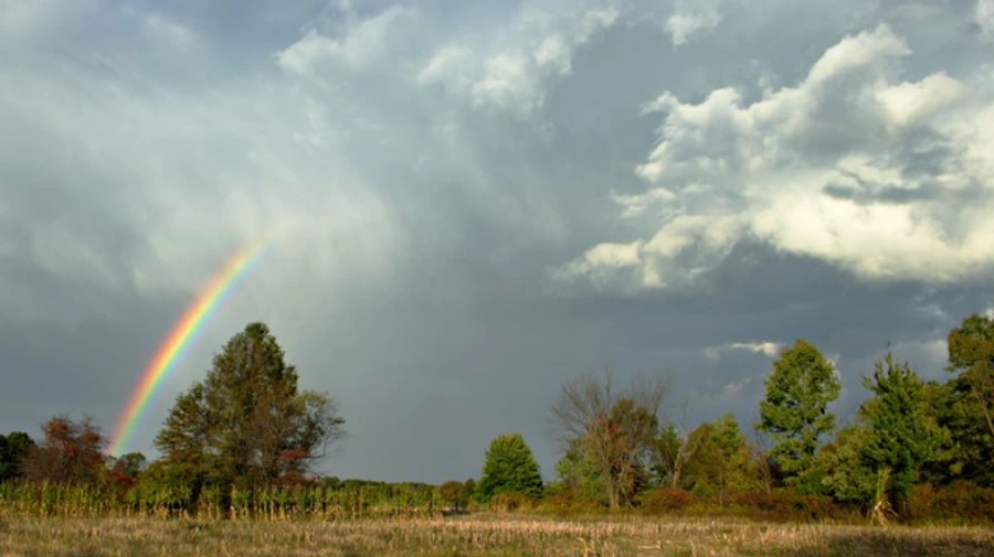 Погода у вихідні: синоптики розповіли, де дощитиме