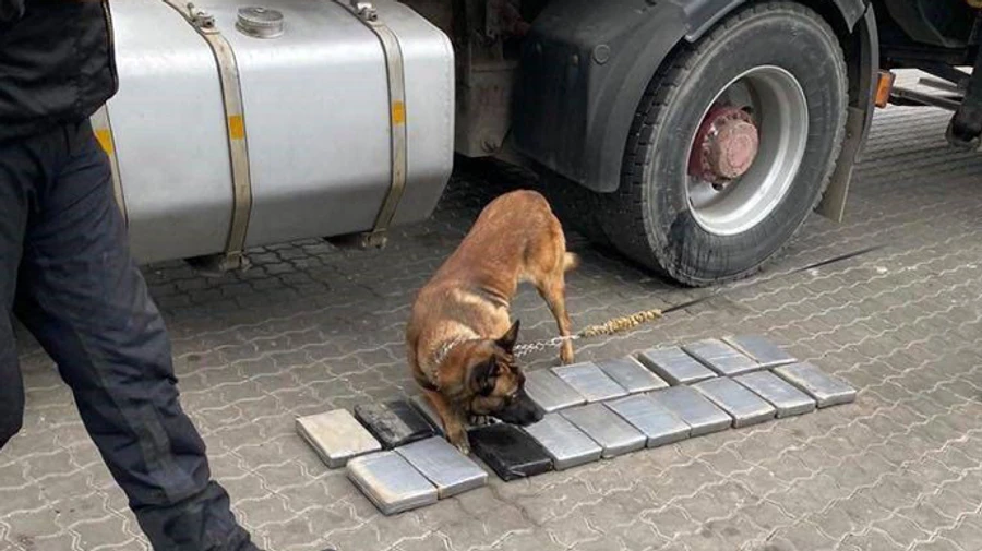 Кокаїн на 4 млн доларів знайшли в контейнері з бананами