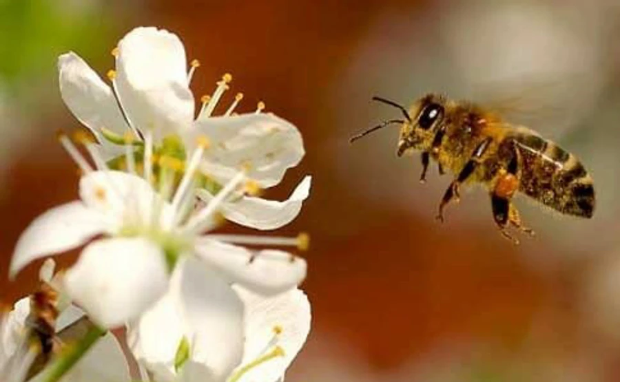 В начале мая будет 4 выходных подряд, а в конце – 3 дня