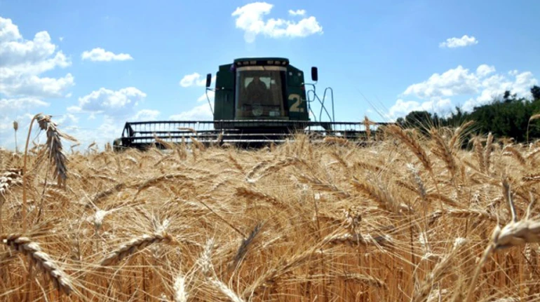 Як Росія краде українські зернові ринки