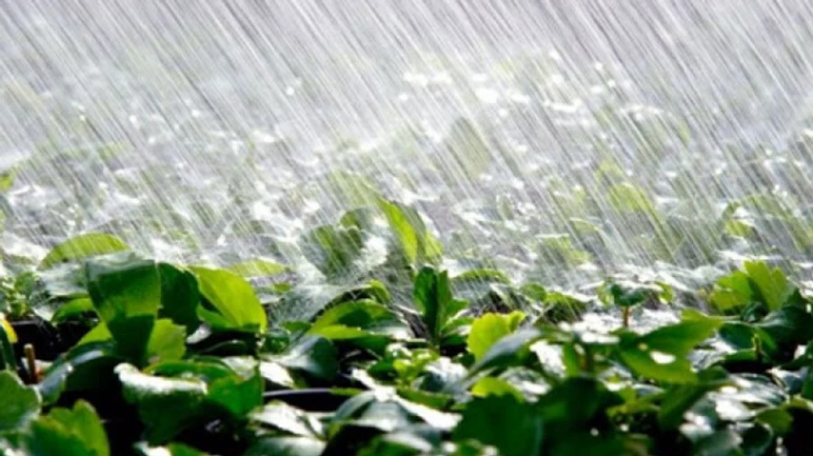 В Україну йдуть дощі