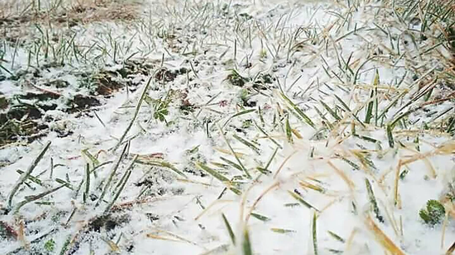 У Карпатах випав перший сніг