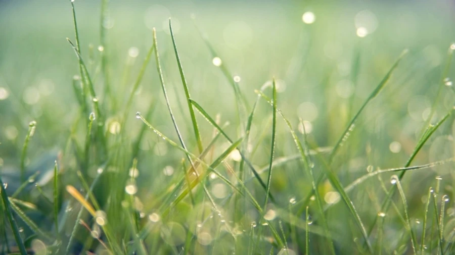 Понеділок в Україні буде теплим, на Лівобережжі пройдуть дощі