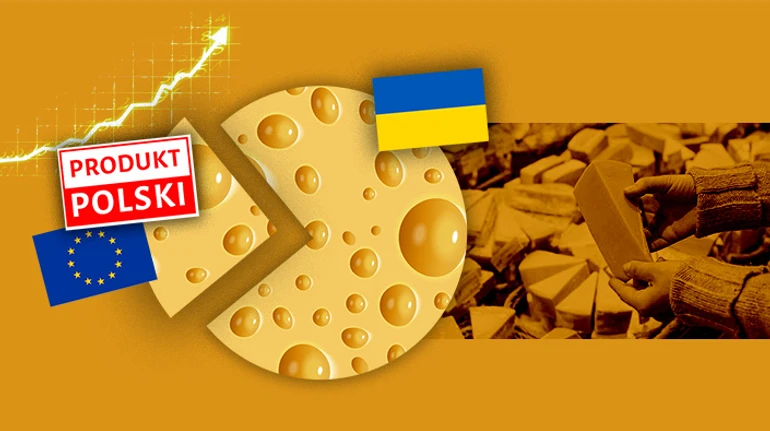 Польское нашествие: как импорт вытеснил украинские сыры с полок супермаркетов