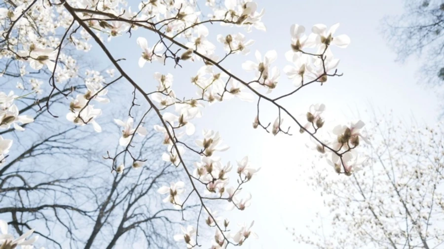 На Пасху в Украине до 24°, на западе возможны дожди и грозы