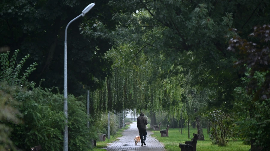 П’ятниця буде без опадів, у суботу – помірні дощі
