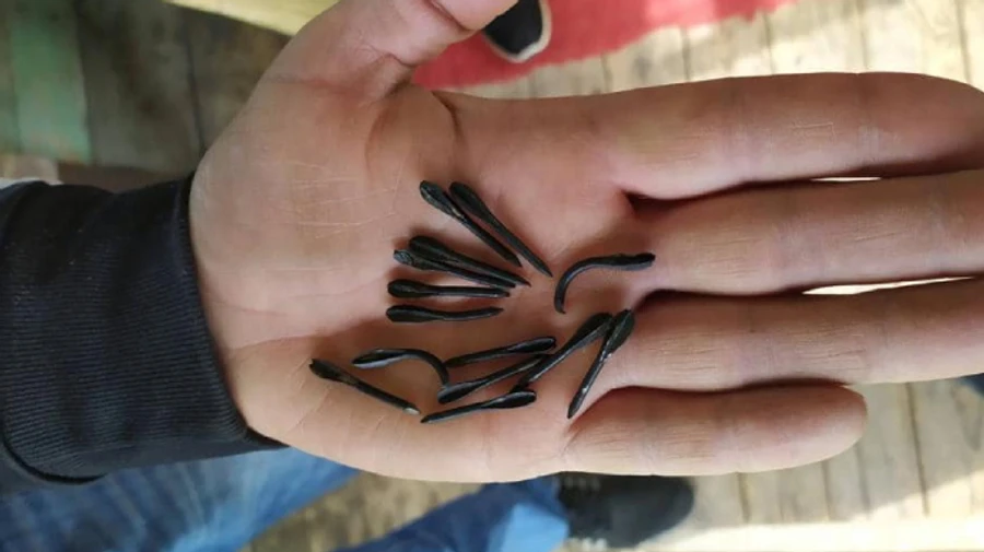 Россияне обстреляли Сумщину артснарядами, начиненными флешеттами