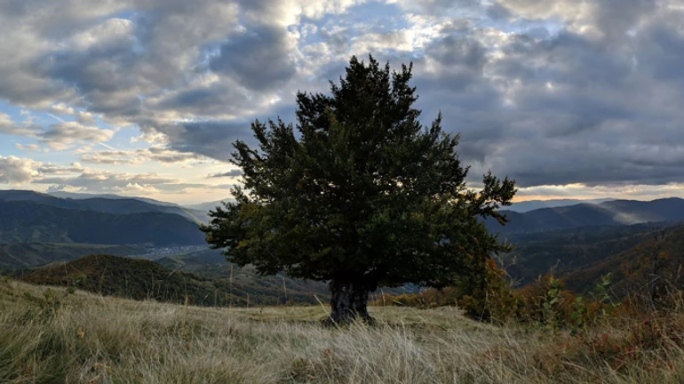 В Україні прогнозують майже літню погоду