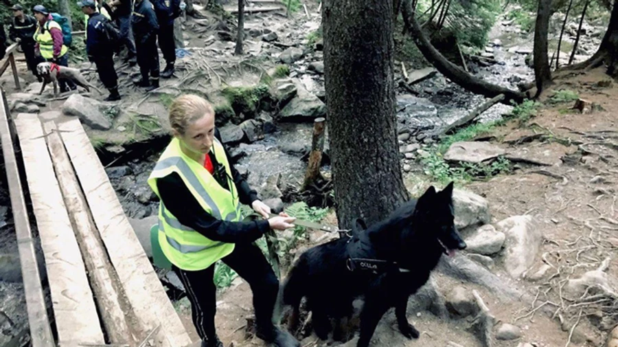 У Карпатах тривають пошуки хлопчика, який загубився на Говерлі  