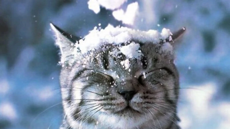 На Київ насувається сильний снігопад