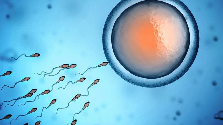 Сукупний ефект є неминучим: вчені дослідили вплив хімікатів і зміни клімату на здатність до зачаття