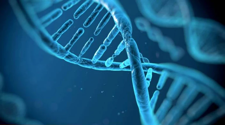 10 особливостей вашого тіла, про які ви могли не здогадуватися: ТЕСТ