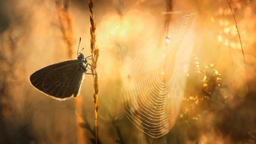 Лагідне закінчення тижня: в Україні ще буде +27°