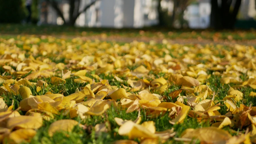 Октябрь начнется похолоданием