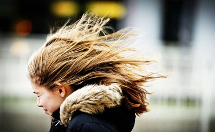 На вихідних буде сухо і вітряно 