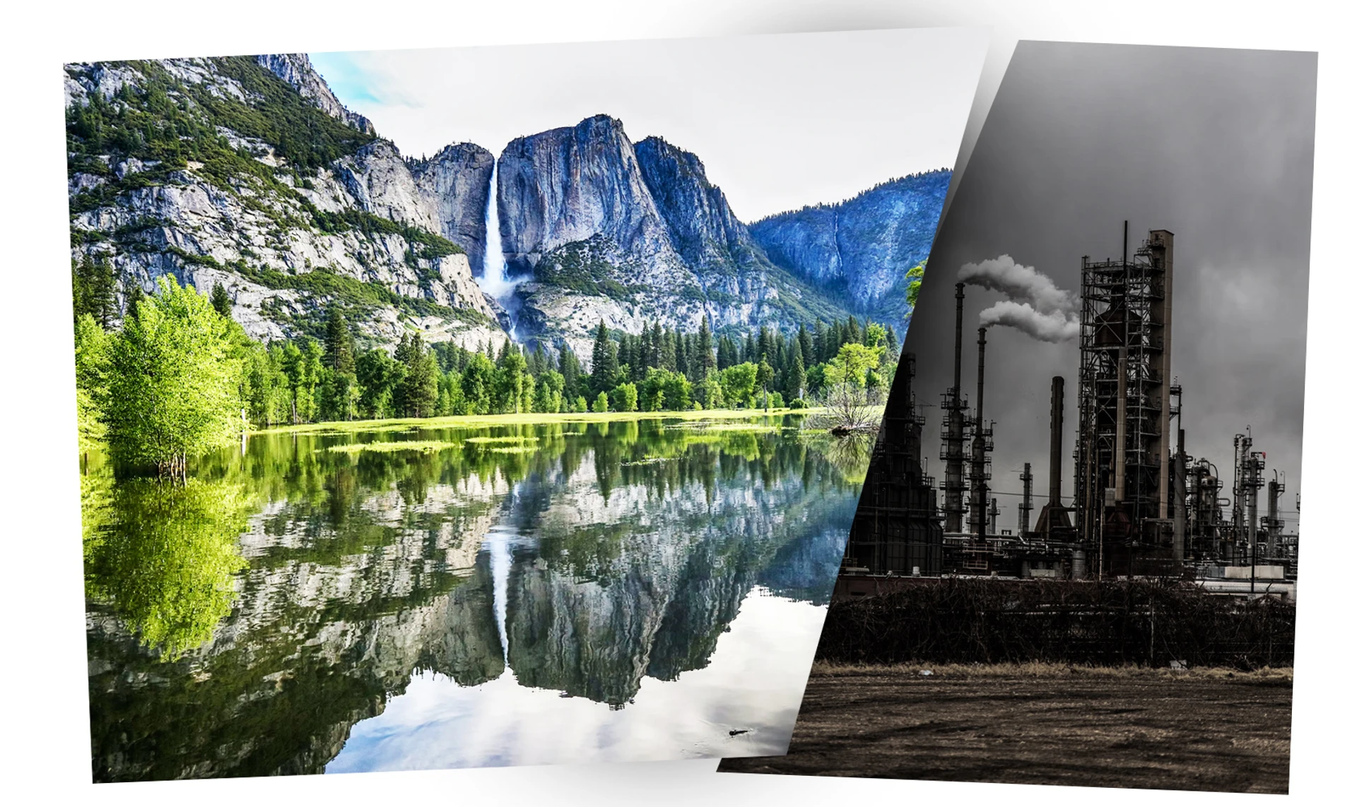 Сохраненный рай. Зачем мир решил превратить треть планеты в заповедники