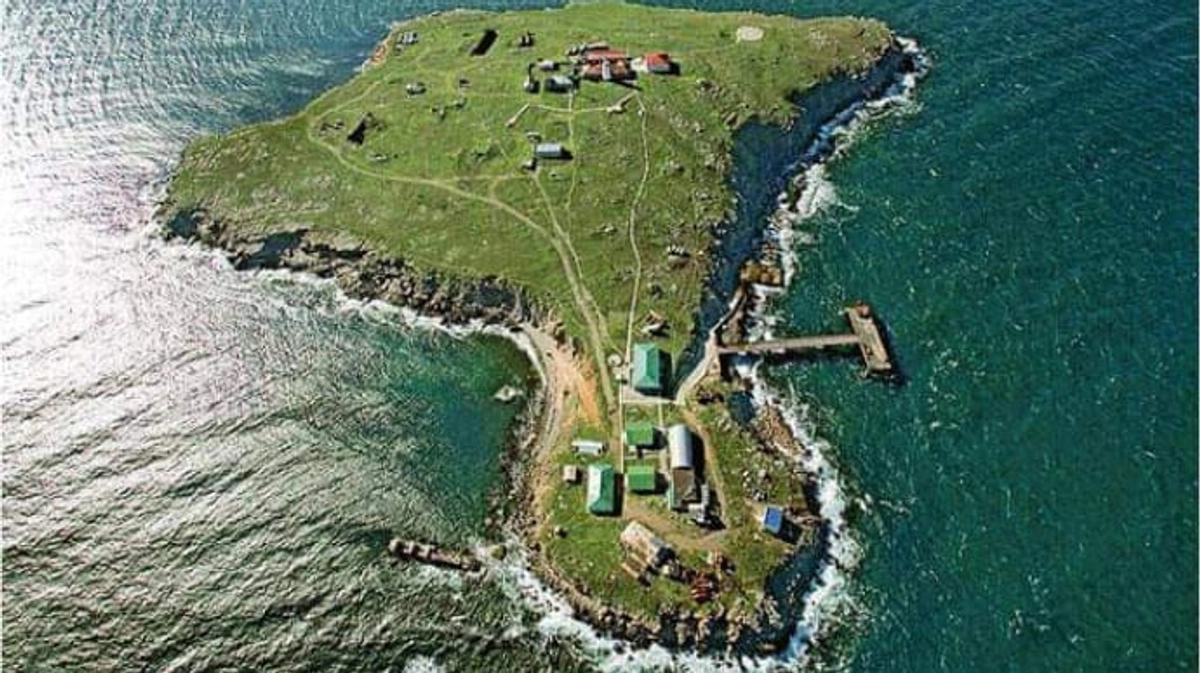 Snake island defenders: border guards will try to get lists of ...