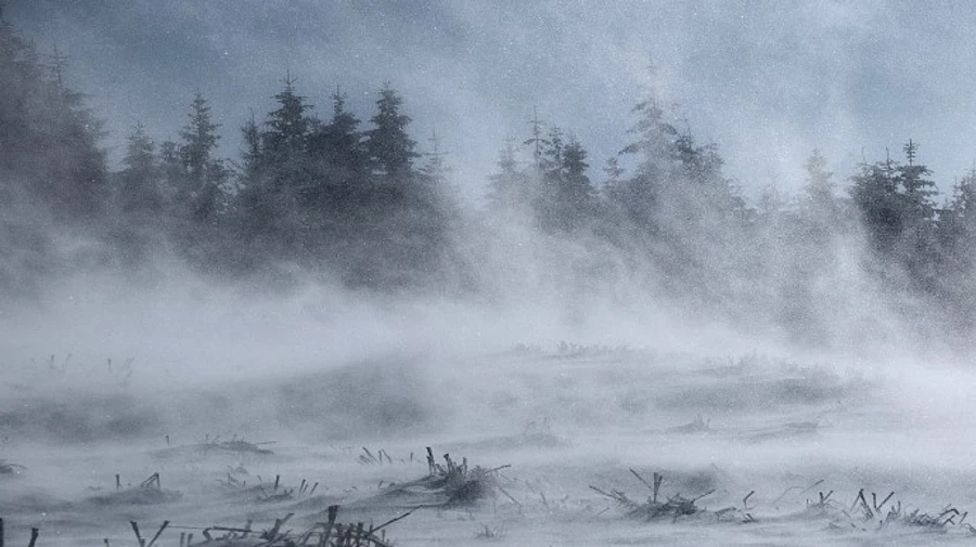 Вьюги, лавины и сильный ветер: спасатели предупредили о сложной погоде