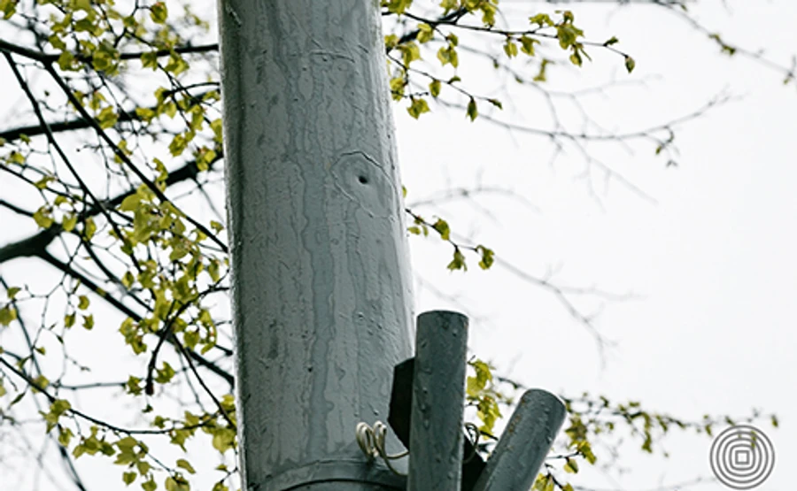 Спецоперация СБУ: поврежден столб со следами пуль на Майдане, ГБР составило протокол