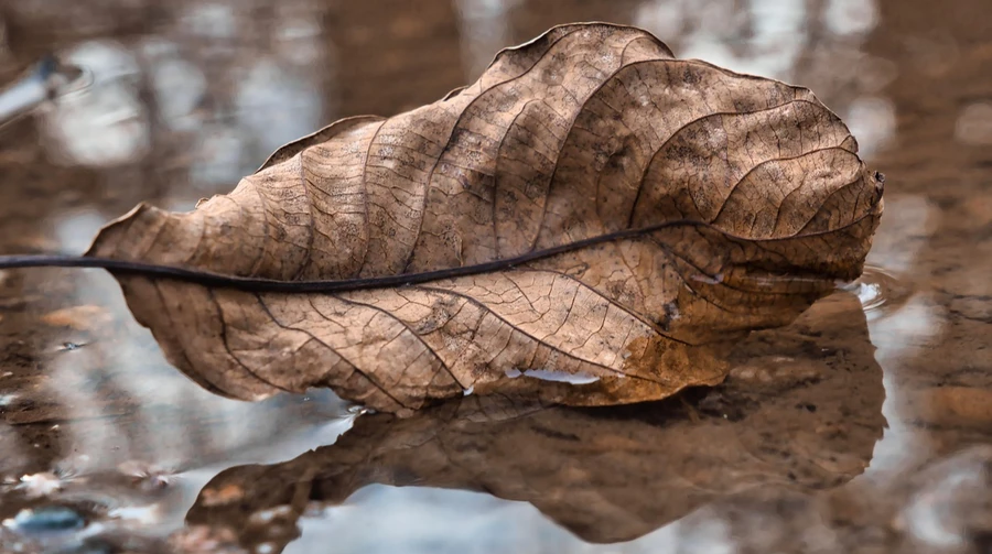 До +19° на півдні та дощі у низці областей – погода на найближчі дні