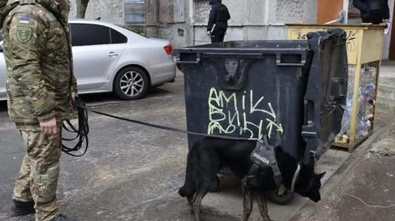 У Миколаєві у смітнику знайшли новонароджену дитину: поліція розшукує матір