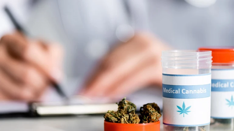 Від чого допомагає медичний канабіс і чи легалізують його в Україні найближчим часом