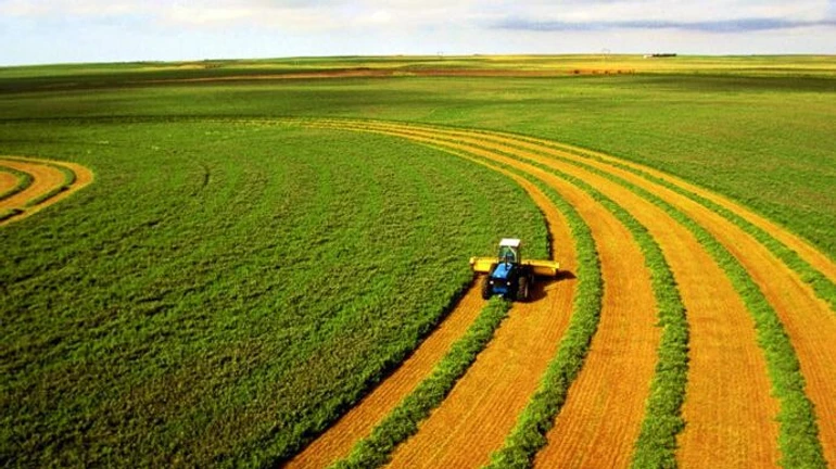 Рада приняла второй ключевой закон для земельной реформы